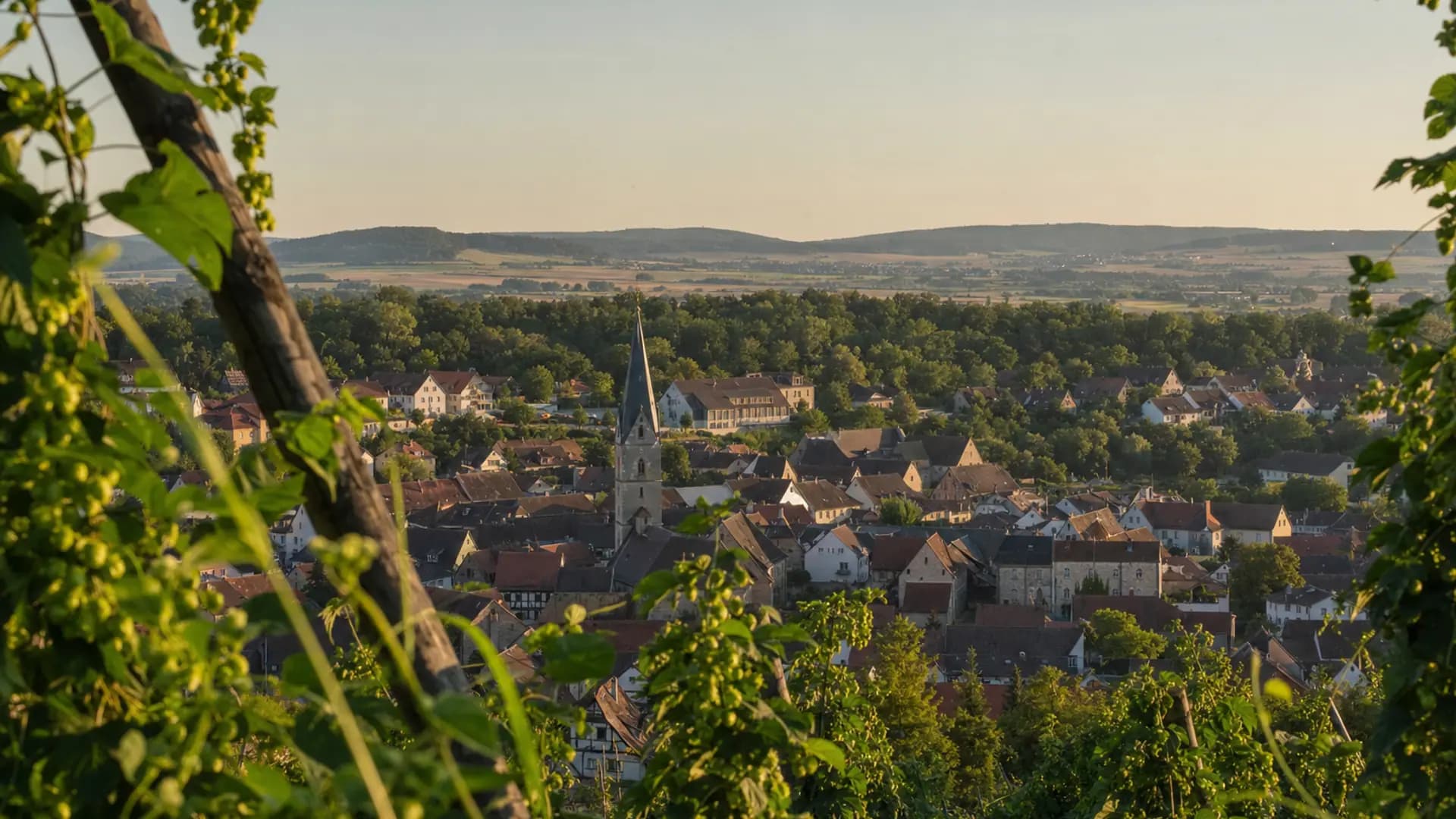 Spalt historische Altstadt und Hopfenlandschaft im goldenen Licht